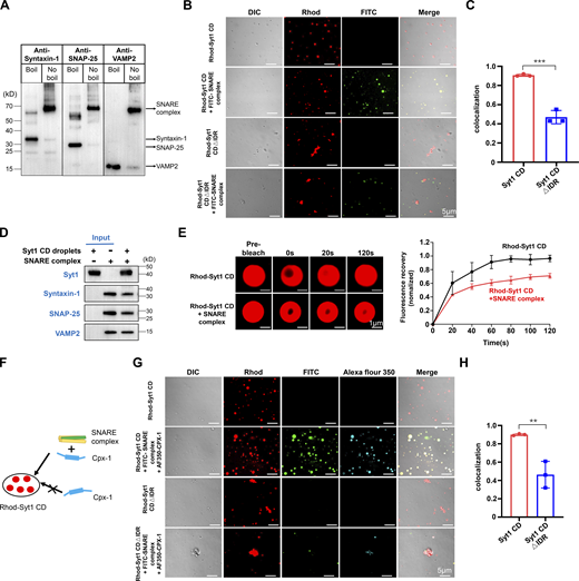 Figure 5. Refer to the image caption for details.