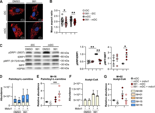 Figure 4. Refer to the image caption for details.