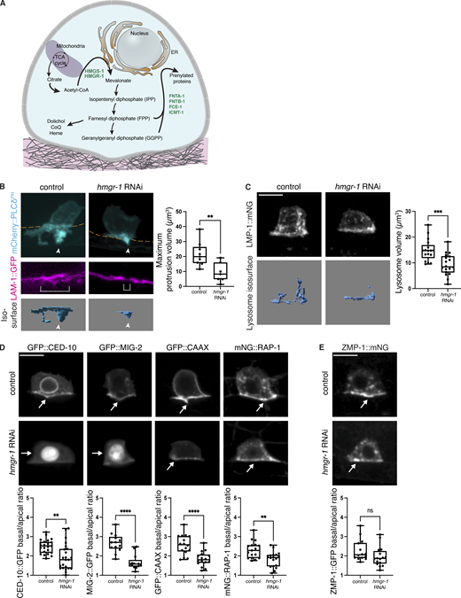 Figure 6. Refer to the image caption for details.