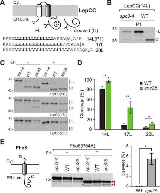 Figure 3. Refer to the image caption for details.