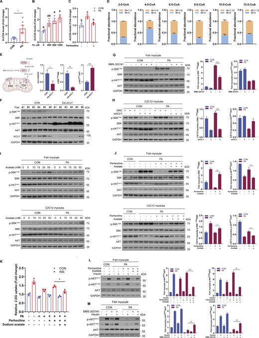 Figure 4. Refer to the image caption for details.