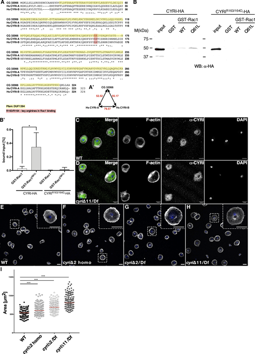 Figure S1. Refer to the image caption for details.