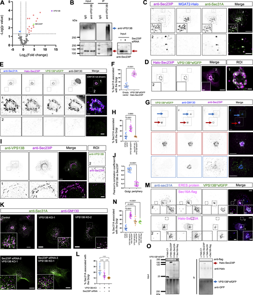 Figure 2. Refer to the image caption for details.