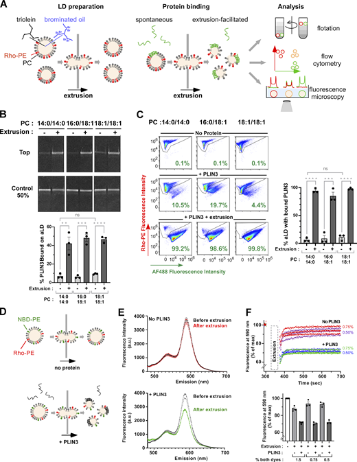 Figure 2. Refer to the image caption for details.