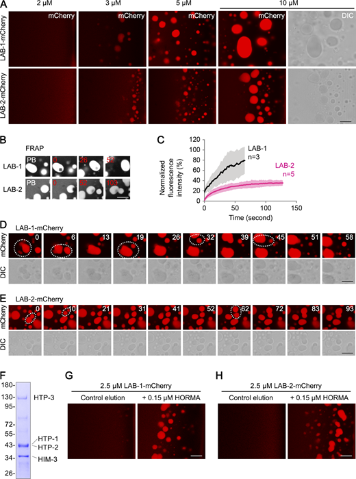 Figure 4. Refer to the image caption for details.