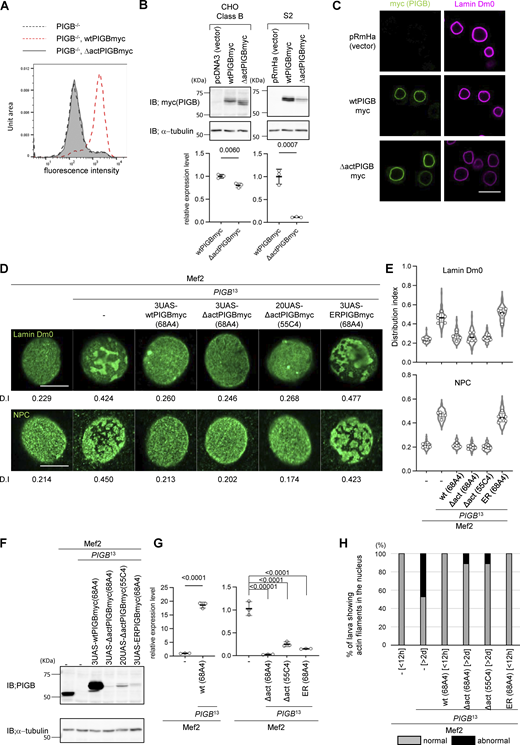 Figure 4. Refer to the image caption for details.