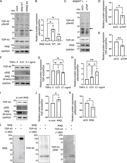 Figure 7. Refer to the image caption for details.