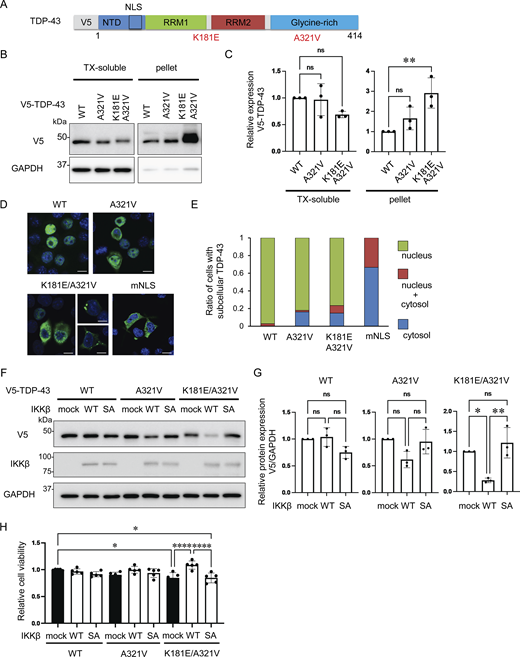 Figure 9. Refer to the image caption for details.