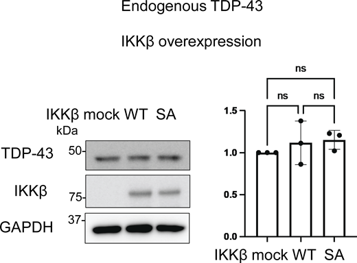 Figure S2. Refer to the image caption for details.