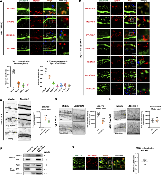 Figure 7. Refer to the image caption for details.