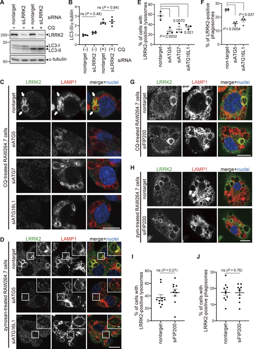 Figure 2. Refer to the image caption for details.