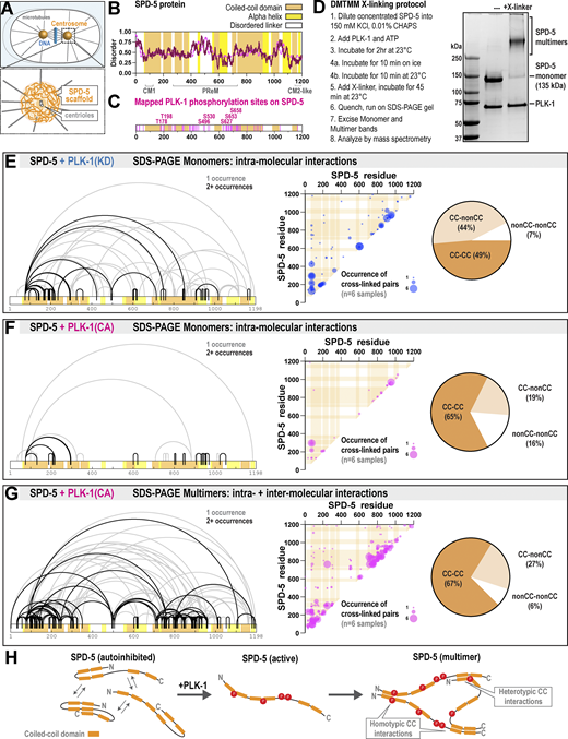 Figure 1. Refer to the image caption for details.