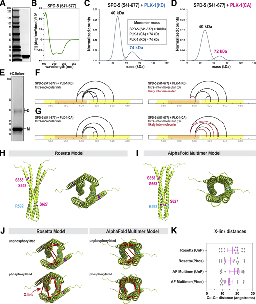 Figure 2. Refer to the image caption for details.