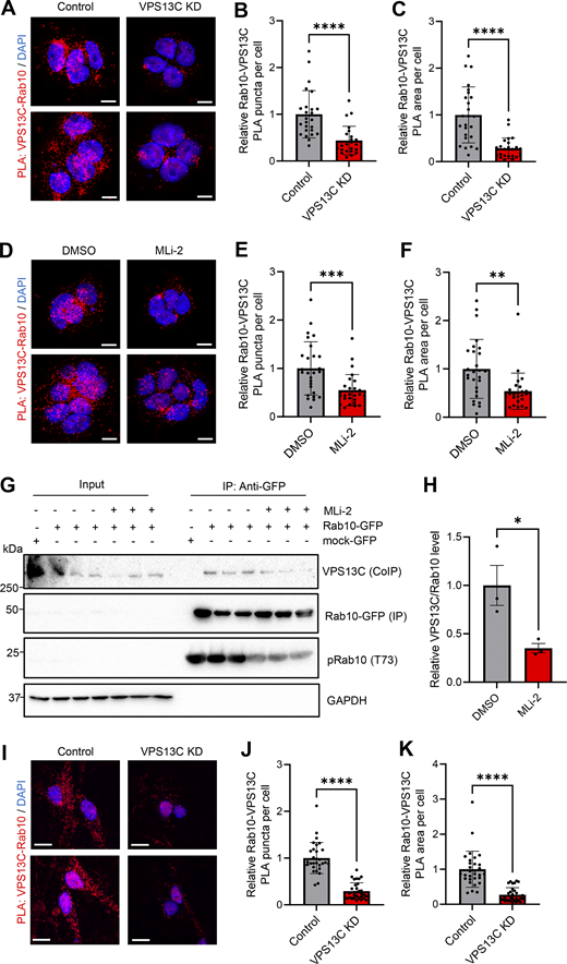 Figure 5. Refer to the image caption for details.
