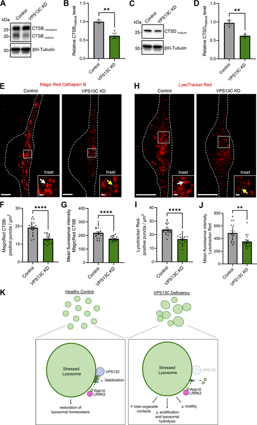 Figure 7. Refer to the image caption for details.