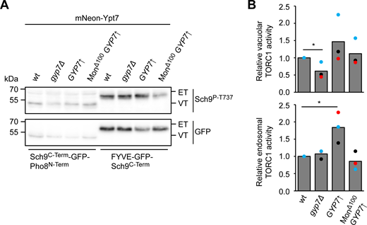 Figure S5. Refer to the image caption for details.