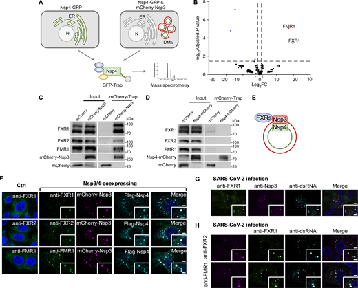 Figure 1. Refer to the image caption for details.
