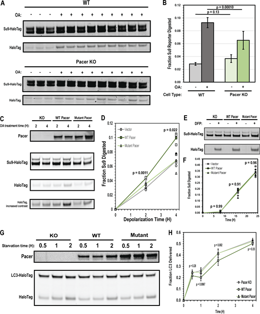 Figure 5. Refer to the image caption for details.