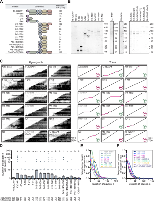 Figure S1. Refer to the image caption for details.