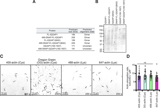 Figure S2. Refer to the image caption for details.