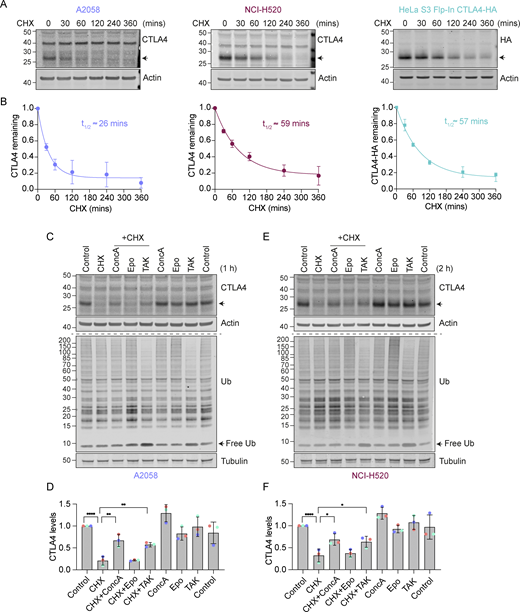 Figure 1. Refer to the image caption for details.