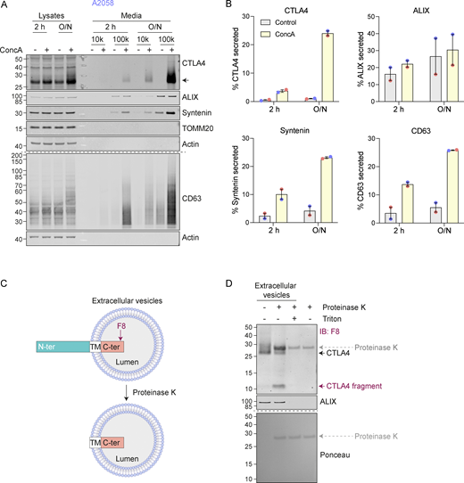 Figure 2. Refer to the image caption for details.