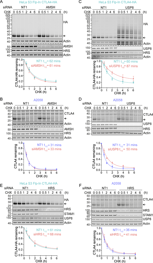 Figure 3. Refer to the image caption for details.