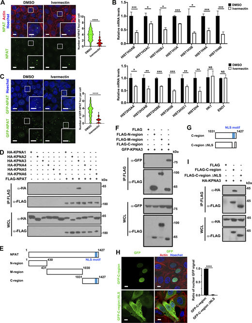 Figure 1. Refer to the image caption for details.