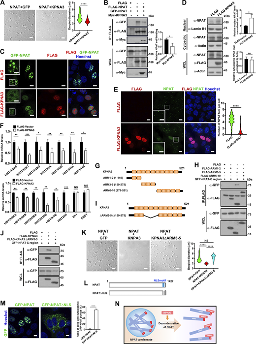 Figure 4. Refer to the image caption for details.