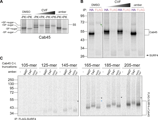 Figure 5. Refer to the image caption for details.