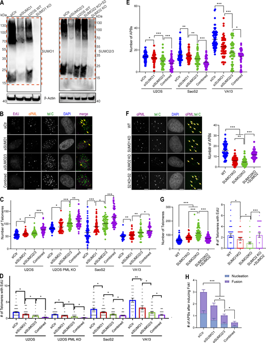 Figure 4. Refer to the image caption for details.