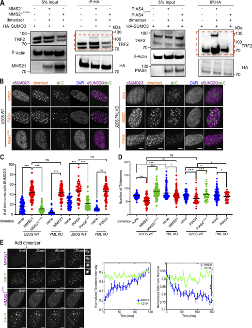 Figure 6. Refer to the image caption for details.