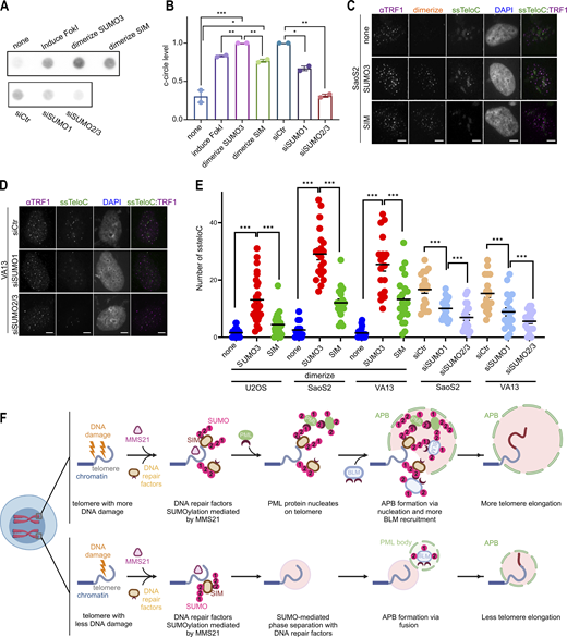 Figure 9. Refer to the image caption for details.