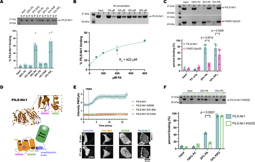 Figure 2. Refer to the image caption for details.