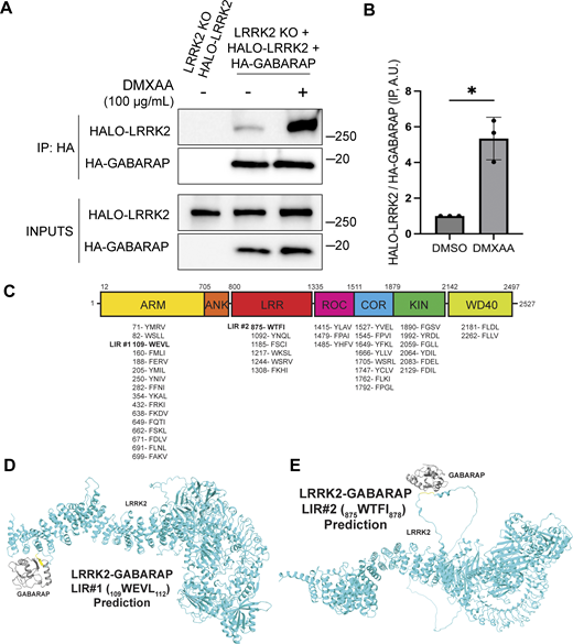 Figure 6. Refer to the image caption for details.