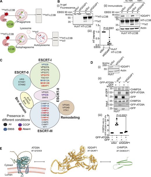 Figure 2. Refer to the image caption for details.
