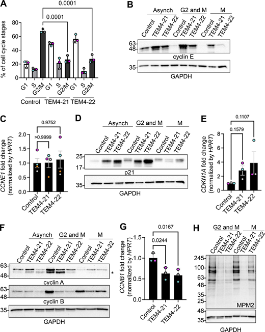 Figure 6. Refer to the image caption for details.