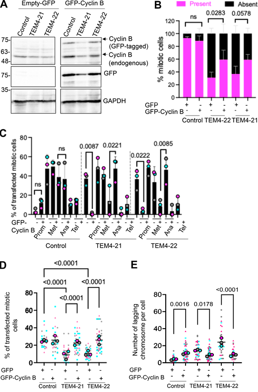 Figure 7. Refer to the image caption for details.