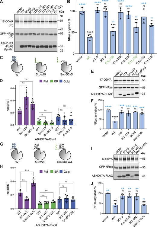 Figure 2. Refer to the image caption for details.