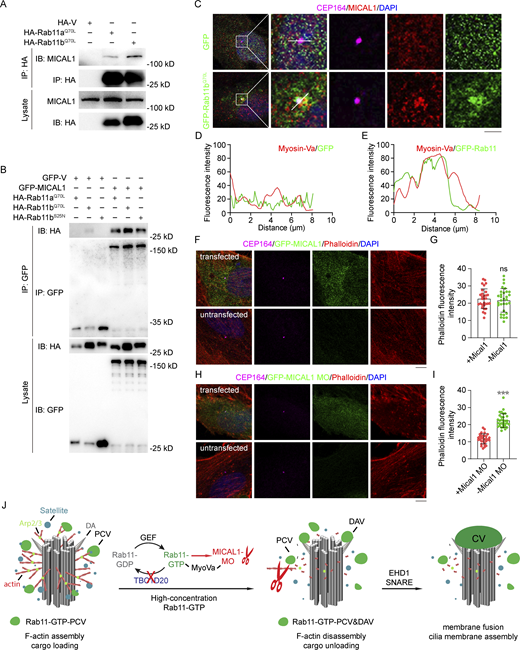 Figure 6. Refer to the image caption for details.