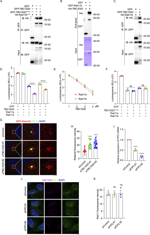 Figure S2. Refer to the image caption for details.