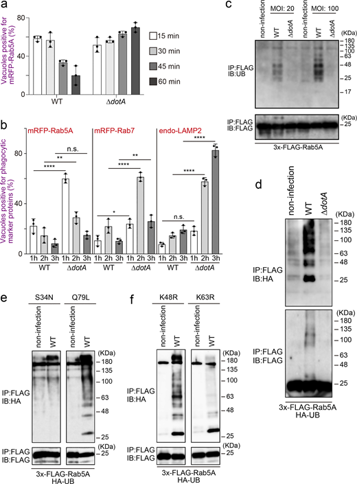 Figure 1. Refer to the image caption for details.