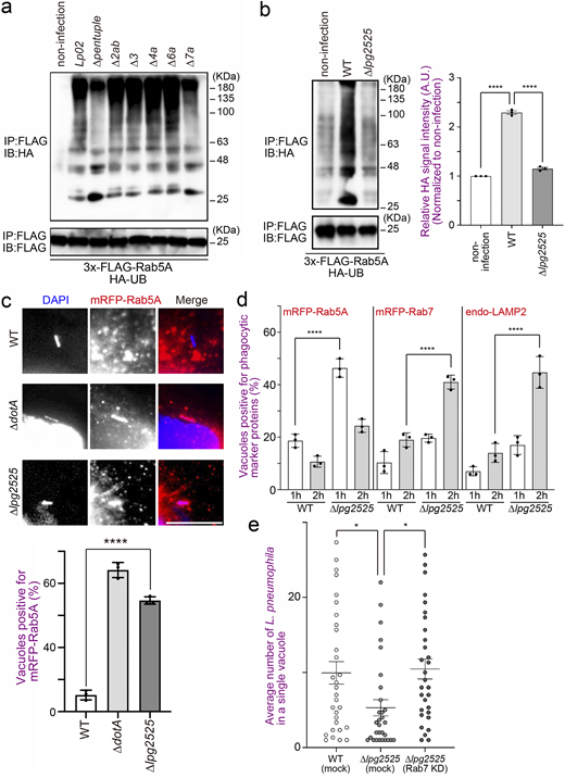 Figure 2. Refer to the image caption for details.