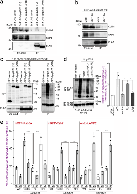 Figure 3. Refer to the image caption for details.