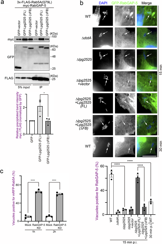 Figure 4. Refer to the image caption for details.