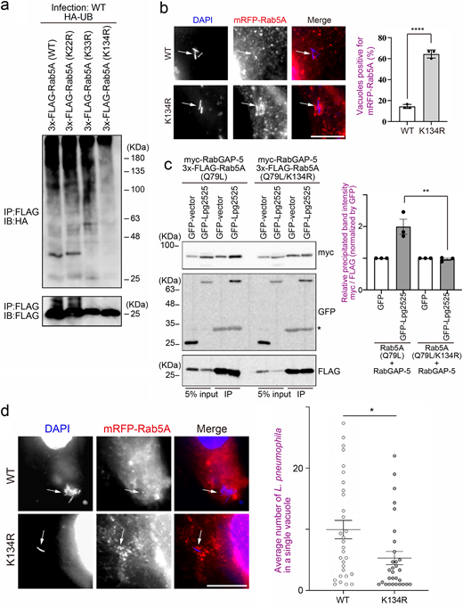 Figure 5. Refer to the image caption for details.