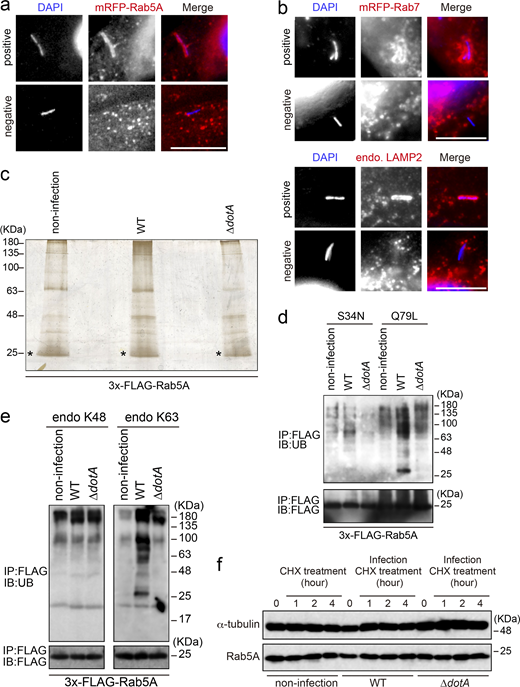 Figure S1. Refer to the image caption for details.