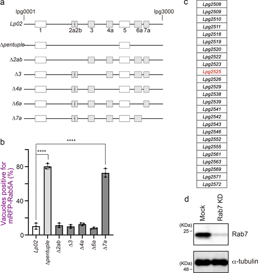 Figure S2. Refer to the image caption for details.