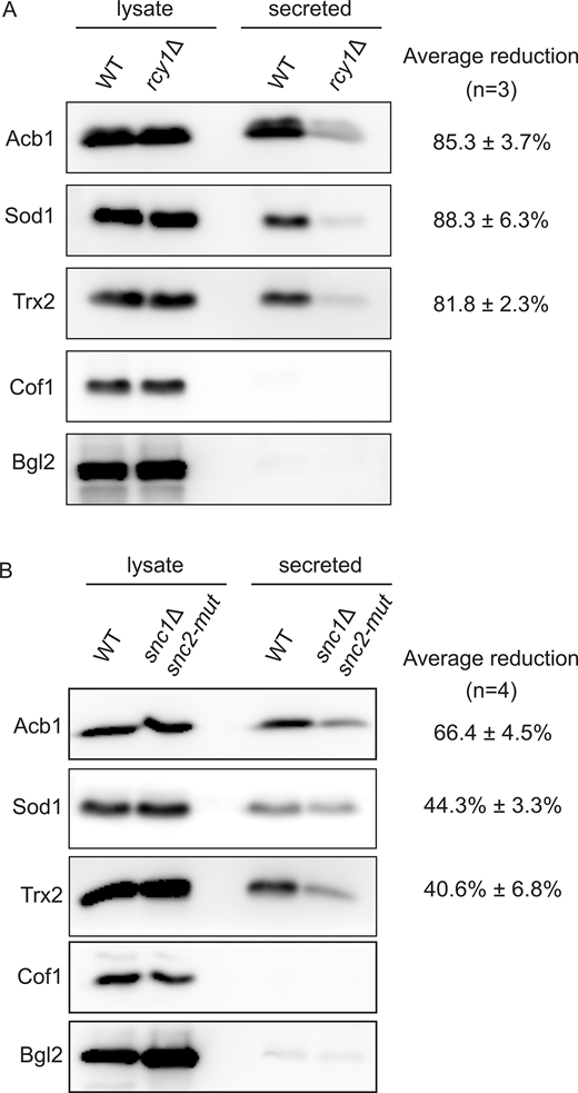 Figure 3. Refer to the image caption for details.