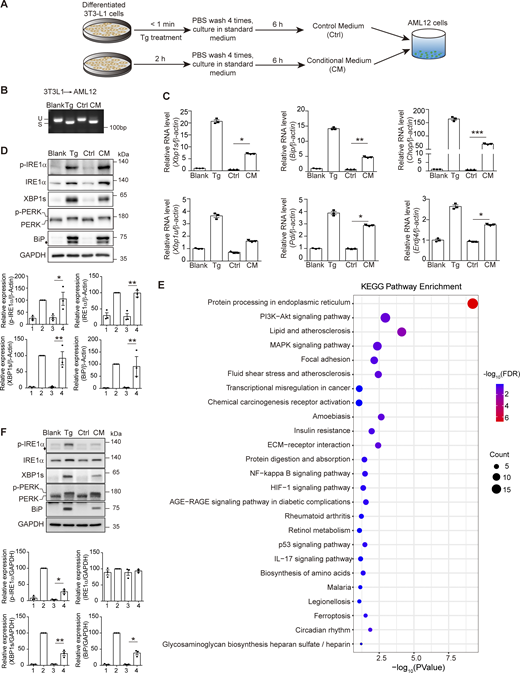 Figure 1. Refer to the image caption for details.